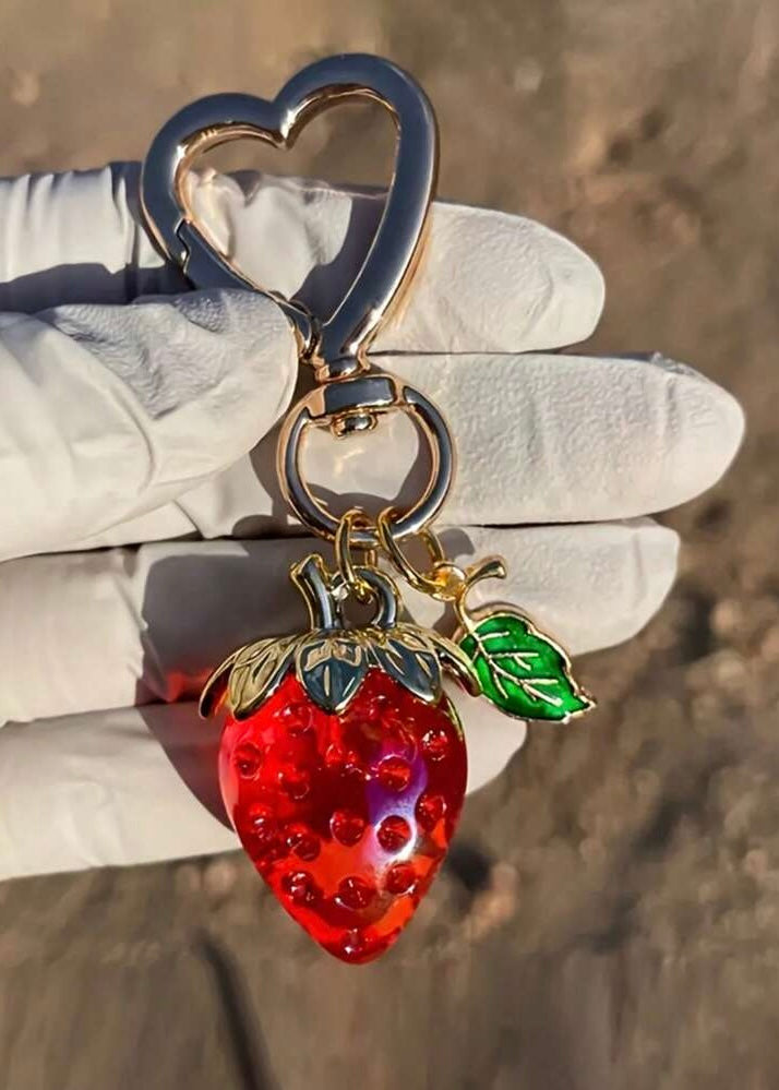 Handbag Charms/Keychains