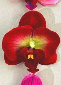 Flower Clips