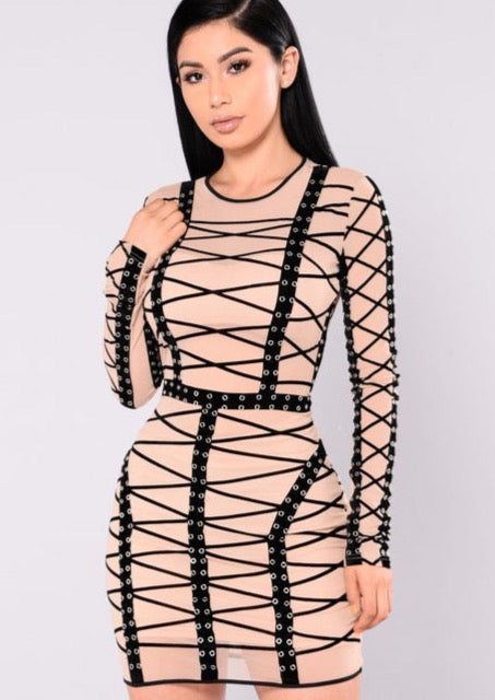 Fashion Nova Katrina Mesh Dress - The Style Guide TT